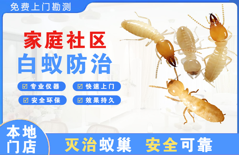 潜江家庭社区白蚁防治