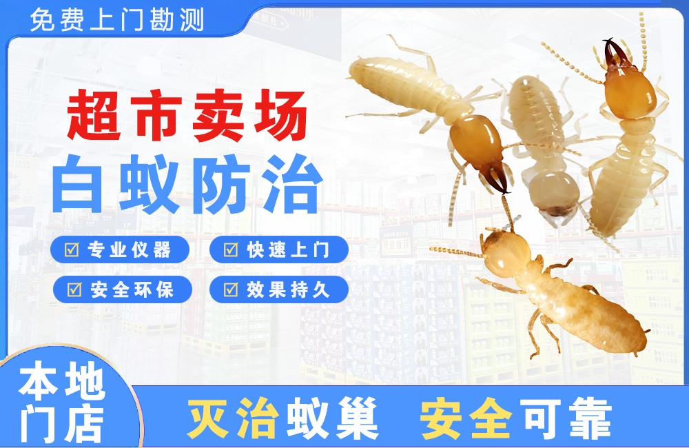 潜江超市卖场白蚁防治