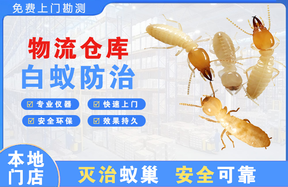 潜江物流仓库白蚁防治