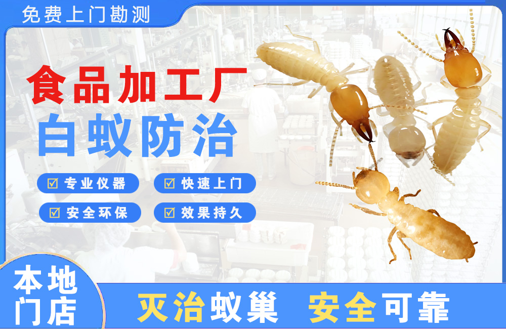 潜江食品加工厂白蚁防治