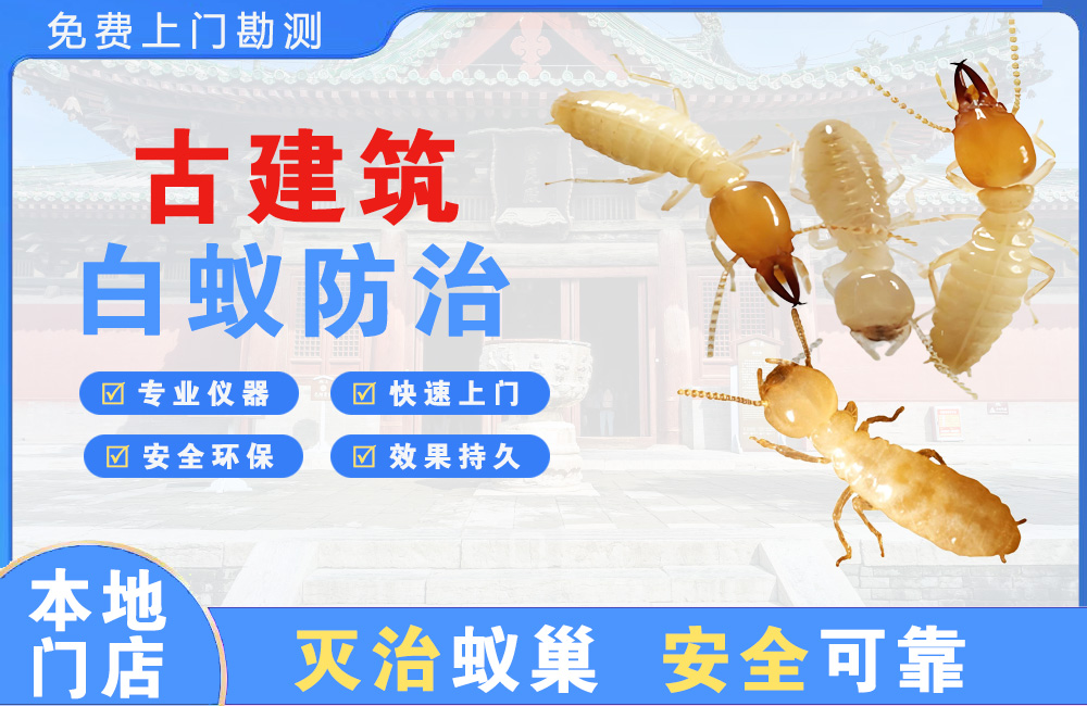 潜江古建筑白蚁防治