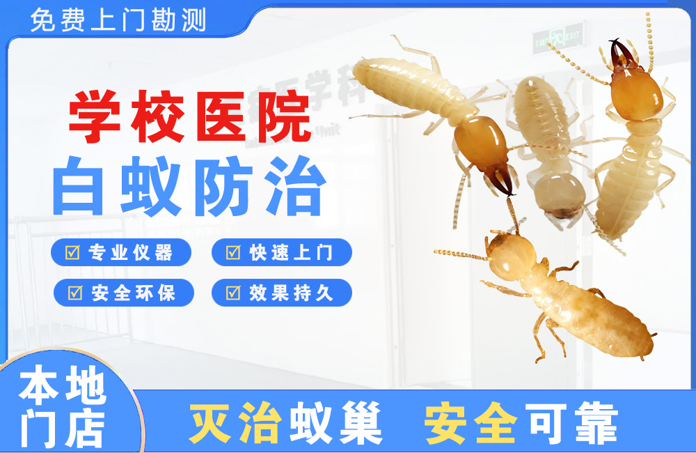 潜江学校医院白蚁防治