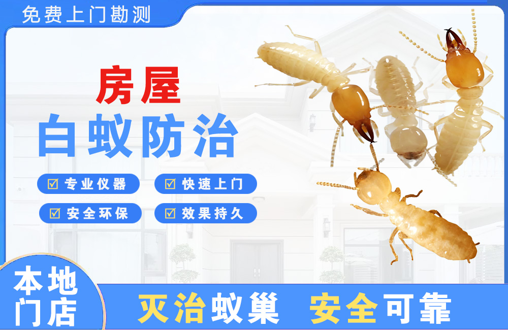潜江房屋白蚁防治