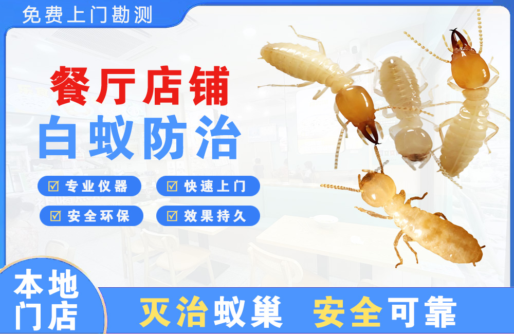 潜江餐厅店铺白蚁防治